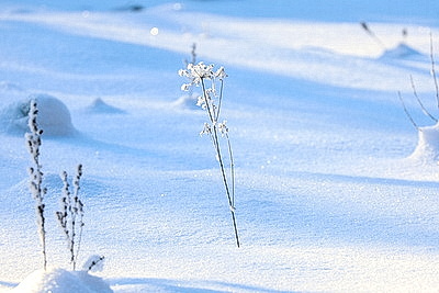 Зимний пейзаж