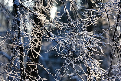 Зимний пейзаж