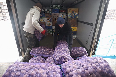 Как в Гродненской области хранят и реализуют плодоовощную продукцию