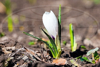 ФОТОХРОНИКА начинает новый информационный день