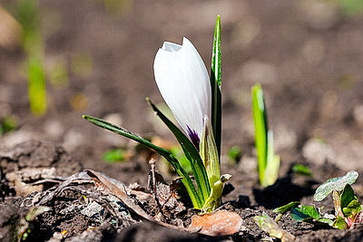 ФОТОХРОНИКА начинает новый информационный день