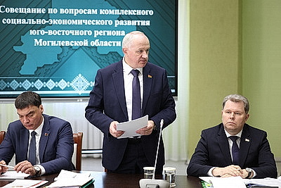 Развитие юго-востока Могилевской области стало темой совещания у Лукашенко