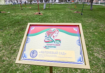 \"Символ мая, Победы, добра и плодородия\". В Беларуси проходит акция \"Яблоневый сад\"