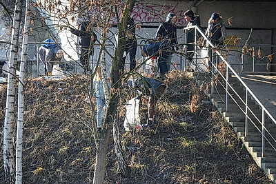 Первый общегородской субботник прошел в Могилеве