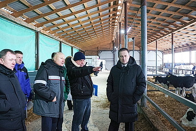 Как содержат телят в МТК \"Лошница\"? Хозяйство проверил премьер-министр