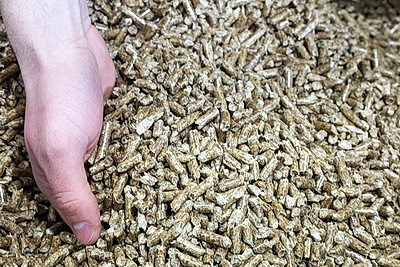 Кличевский лесхоз наладил безотходный цикл производства