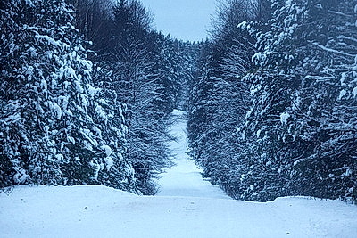 Зимний пейзаж в Докшицком районе