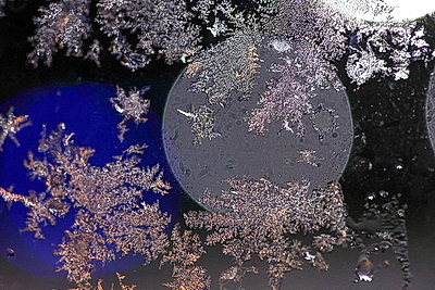 ФОТОХРОНИКА начинает новый информационный день