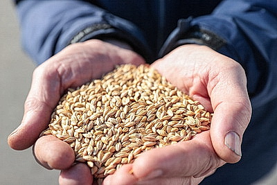 Как спутниковая навигация повышает шансы на богатый урожай уже в посевную