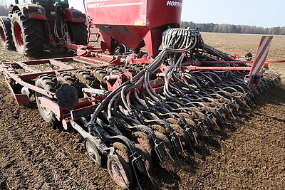 Механизаторы в Мостовском районе начали сев гороха