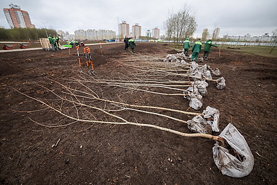 Республиканский субботник: депутаты Палаты представителей благоустроили столичный парк
