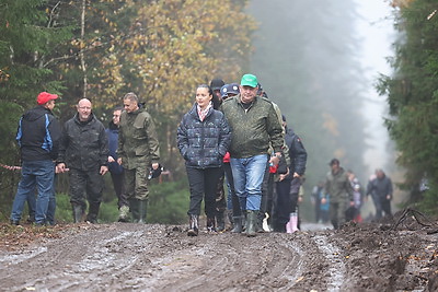 К акции \"Дай лесу новае жыццё!\" в Вороновском районе присоединились около 250 человек