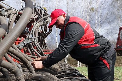 В Лунинецком районе завершили сев зерновых и приступили к травам