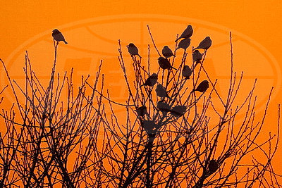 ФОТОХРОНИКА начинает новый информационный день