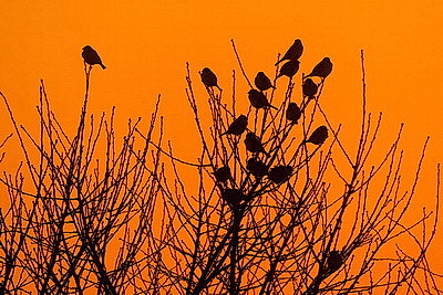 ФОТОХРОНИКА начинает новый информационный день