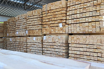В Пинском лесхозе открыли новую линию лесопиления