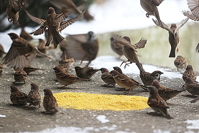 ФОТОХРОНИКА начинает новый информационный день