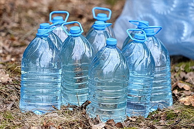 В Гродненской области приступили к заготовке березового сока