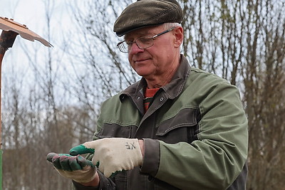 В Могилевском районе стартовал сев селекционных образцов льна-долгунца
