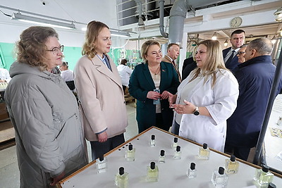 Как в двух районах Витебской области вовлекают в оборот неиспользуемое имущество, изучили депутаты