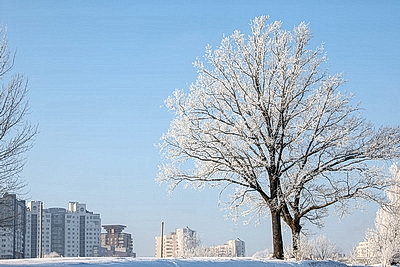 Солнечный январский день в Минске
