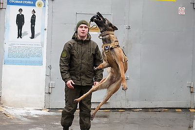 Здесь человек и собака понимают друг друга \"с первого взгляда\". Как несут службу кинологи в Бобруйском отделе Департамента охраны
