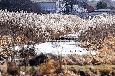 Ждать ли большой воды этой весной: МЧС о паводковой ситуации