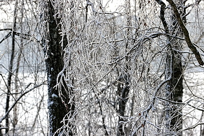 Ночью до -25..-30°С ожидается в Беларуси 15 января