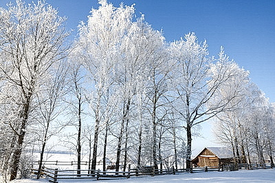 \"Давно таких зим не было\". Как в Бобруйском районе работают автолавки на селе