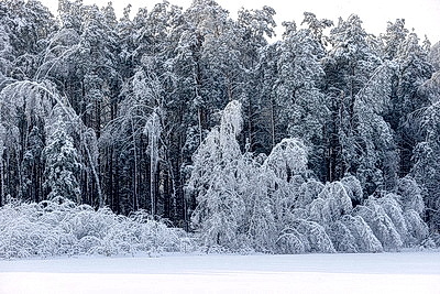 Ночью до -25..-30°С ожидается в Беларуси 15 января