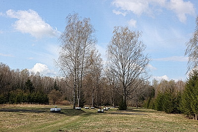 Республиканский субботник: коллектив Администрации Президента принял участие в благоустройстве мемориального комплекса и посадке леса