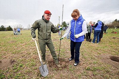 \"Символ мая, Победы, добра и плодородия\". В Беларуси проходит акция \"Яблоневый сад\"