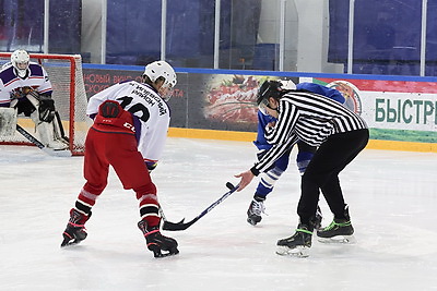 \"Золотая шайба\". Финал областных соревнований проходит в Шклове
