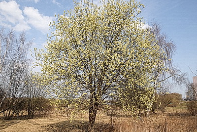 ФОТОХРОНИКА начинает новый информационный день