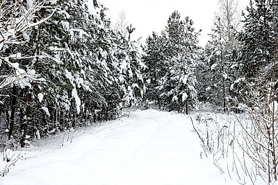 Снежный зимний день