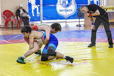 Турнир по вольной борьбе памяти заслуженного тренера БССР Валерия Зубкова открылся в Витебске