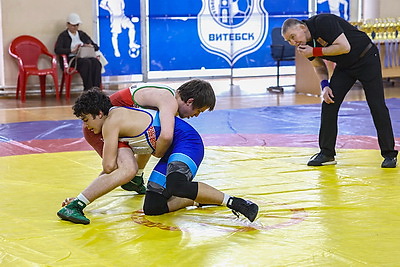 Турнир по вольной борьбе памяти заслуженного тренера БССР Валерия Зубкова открылся в Витебске