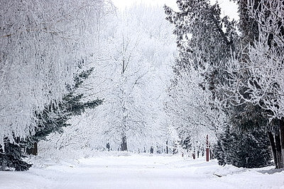 ФОТОХРОНИКА начинает новый информационный день