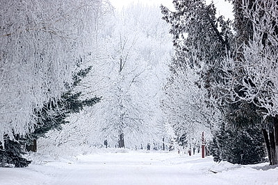 ФОТОХРОНИКА начинает новый информационный день