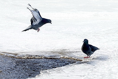 ФОТОХРОНИКА начинает новый информационный день