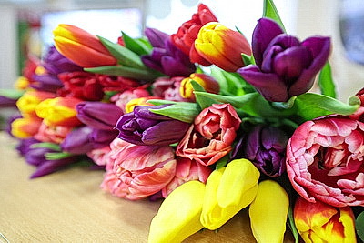 \"Сделали для семьи главный подарок\". В Витебском областном роддоме прошел праздник для мам