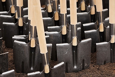 Республиканский субботник: депутаты Палаты представителей благоустроили столичный парк