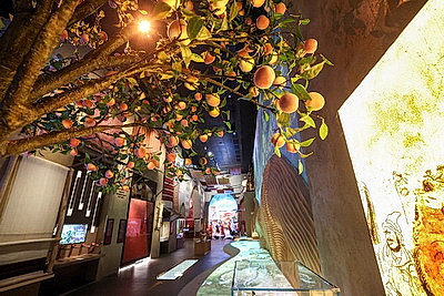 Центр исламской цивилизации в Ташкенте