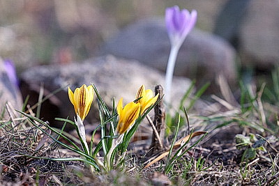 ФОТОХРОНИКА начинает новый информационный день