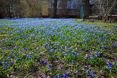 ФОТОХРОНИКА начинает новый информационный день