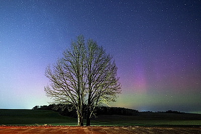 Полярное сияние в небе над Беларусью