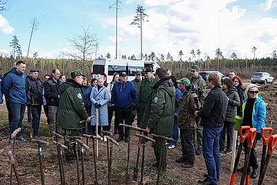 Республиканский субботник: коллектив Администрации Президента принял участие в благоустройстве мемориального комплекса и посадке леса