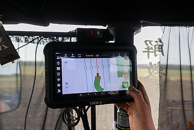 Аграрии Брестской области продолжают сев ранних яровых зерновых и зернобобовых культур