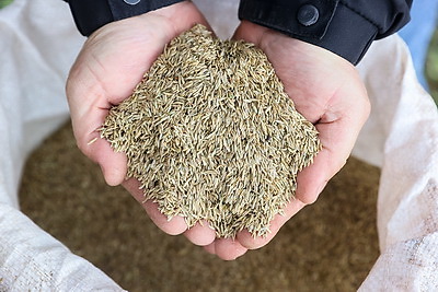 В Лунинецком районе завершили сев зерновых и приступили к травам