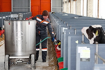 В Минской области в 2026 году планируют построить 111 профилакториев на 20 тыс. телят